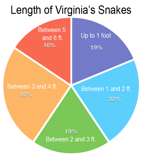 snake length pie chart image